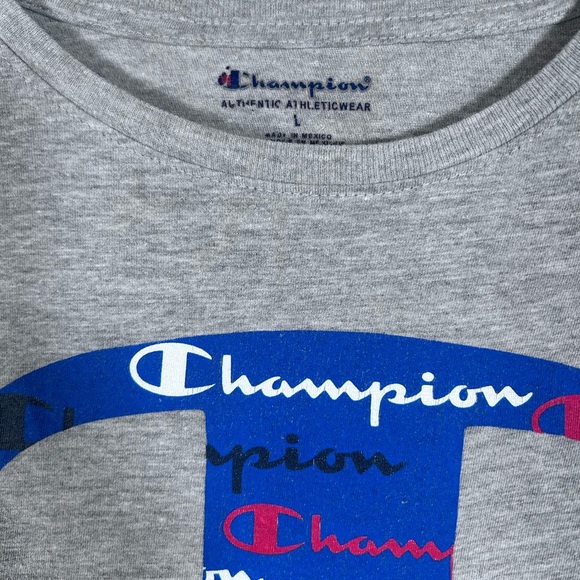 Kid’s Champion Gray T-Shirt. Size Large - Picture 3 of 3